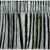 Black Forest (SOLD)