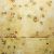 Fields (SOLD)