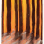 Backburn